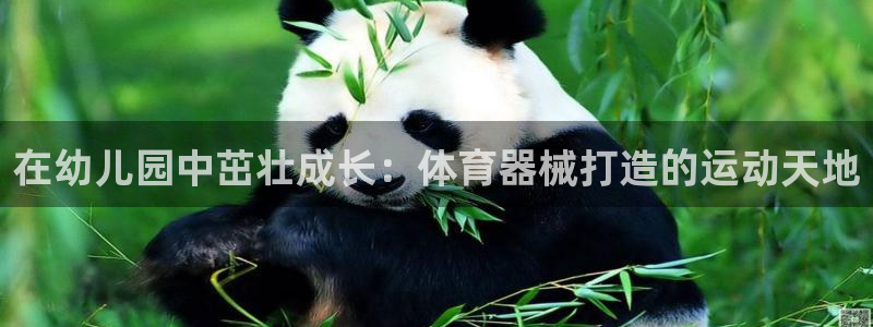 ag旗舰平台尊龙代言：在幼儿园中茁壮成长：体育器械打
