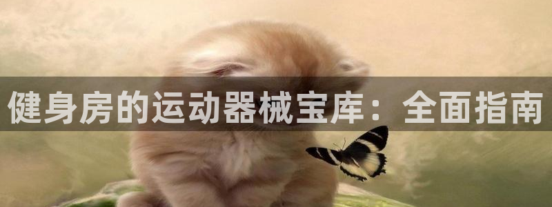 尊龙这个平台怎么样：健身房的运动器械宝库：全面指南