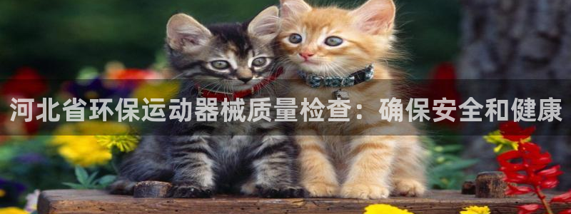 d88尊龙官网登录免费下载：河北省环保运动器械质量检