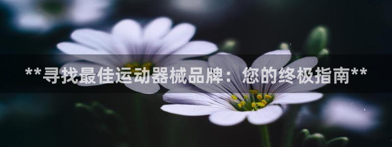 尊龙t300和t400哪个好：**寻找最佳运动器械品