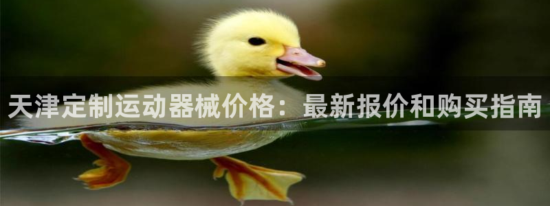 尊龙app下载官网：天津定制运动器械价格：最新报价和购买指南