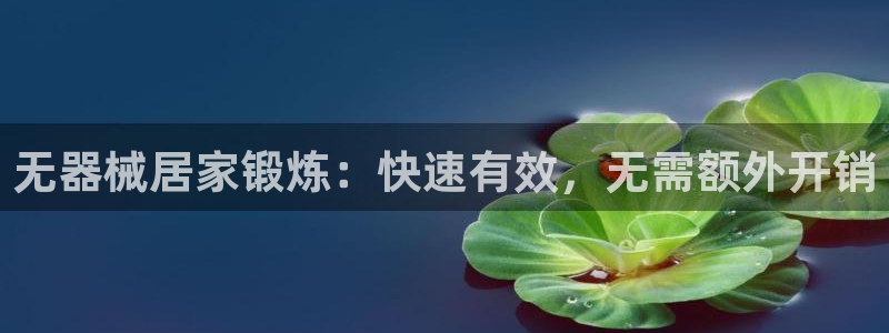 尊龙游戏官网：无器械居家锻炼：快速有效，无需额外开销