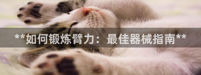 ag尊龙凯时官网：**如何锻炼臂力：最佳器械指南**