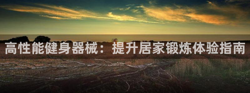 d88尊龙凯时：高性能健身器械：提升居家锻炼体验指南