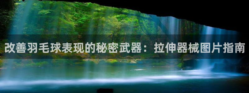 尊龙平台有谁玩过：改善羽毛球表现的秘密武器：拉伸器械