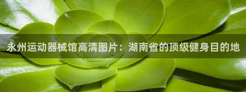 尊龙凯时人生就是搏 品牌专区：永州运动器械馆高清图片