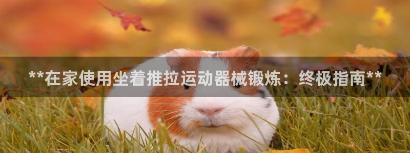 尊龙凯时企业文化：**在家使用坐着推拉运动器械锻炼：