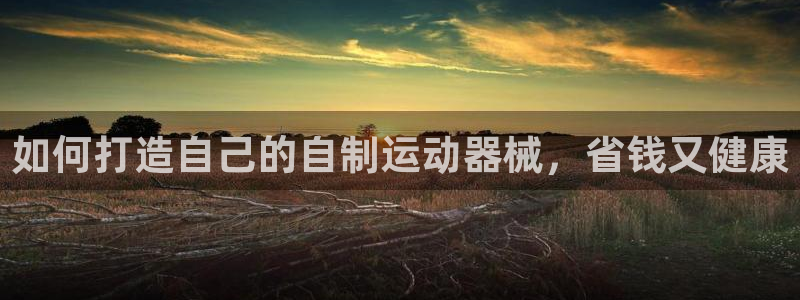 尊龙凯时人生就博：如何打造自己的自制运动器械，省钱又