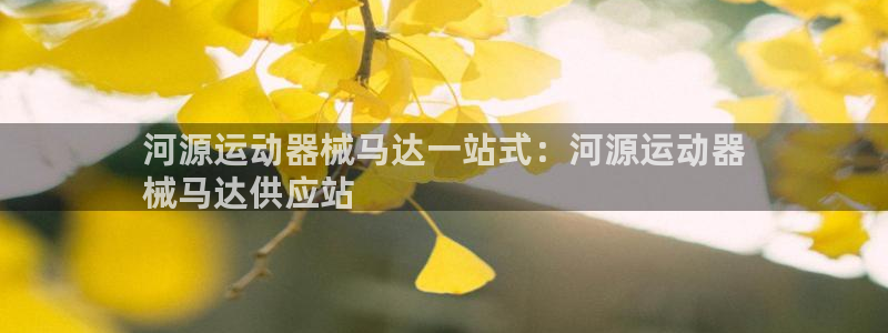 尊龙凯时开发：河源运动器械马达一站式：河源运动器
械