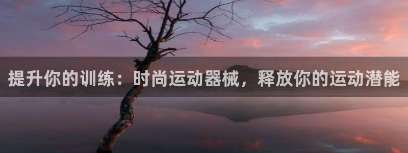 尊龙凯时取款不成功：提升你的训练：时尚运动器械，释放