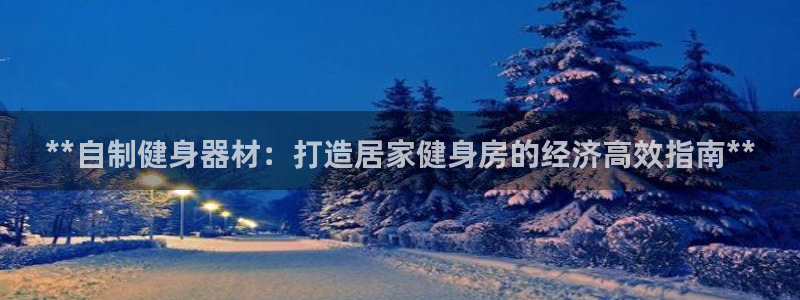 尊龙是什么软件：**自制健身器材：打造居家健身房的经