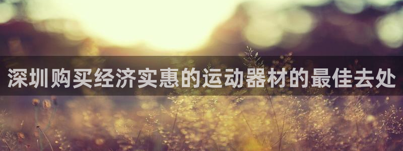 尊龙ag旗舰：深圳购买经济实惠的运动器材的最佳去处