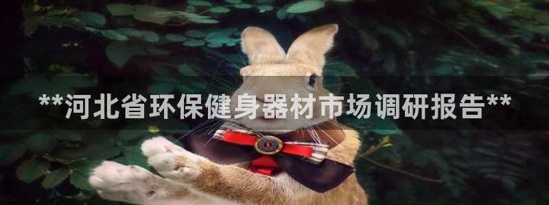 AG尊龙注册在线游戏：**河北省环保健身器材市场调研报告**