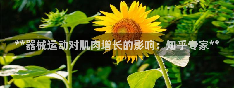 尊龙手机客户端app：**器械运动对肌肉增长的影响：