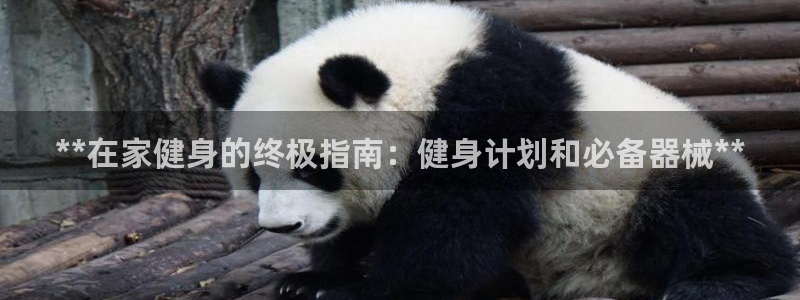 Z6尊龙官网入口：**在家健身的终极指南：健身计划和