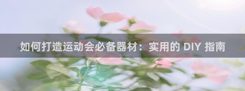尊龙凯时百万奖池：如何打造运动会必备器材：实用的 D