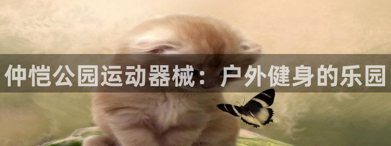 尊龙凯时输了100万：仲恺公园运动器械：户外健身的乐