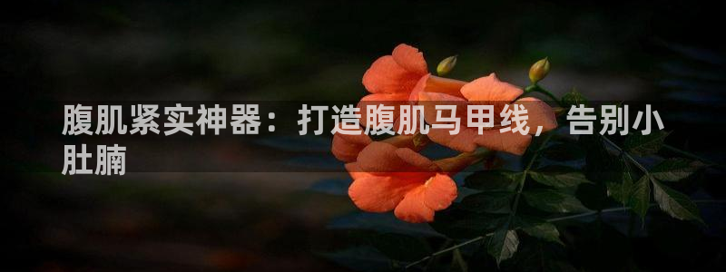 尊龙d88官网新版：腹肌紧实神器：打造腹肌马甲线，告