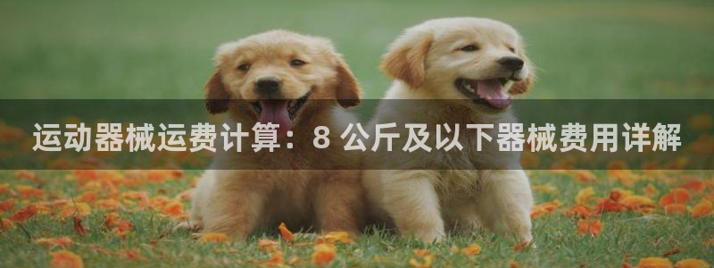 尊龙长相评价：运动器械运费计算：8 公斤及以下器械费