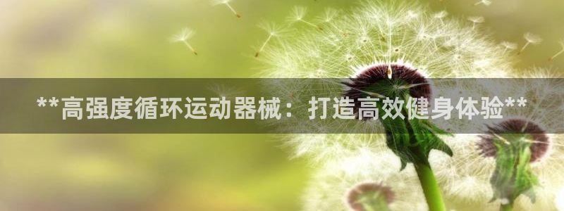 尊龙目前情况：**高强度循环运动器械：打造高效健身体