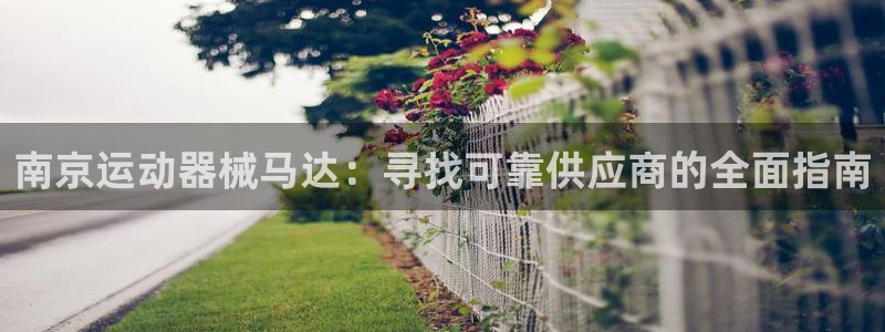 尊龙z6：南京运动器械马达：寻找可靠供应商的全面指南