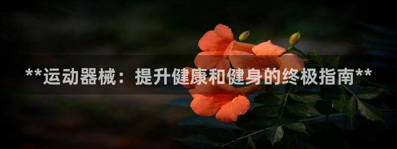 尊龙凯时 人生就是搏客服：**运动器械：提升健康和健