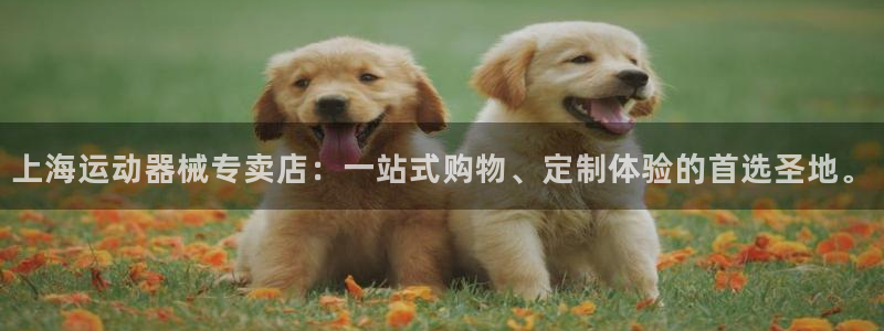 AG尊龙注册在线游戏