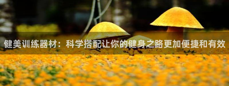 尊龙AG发财网