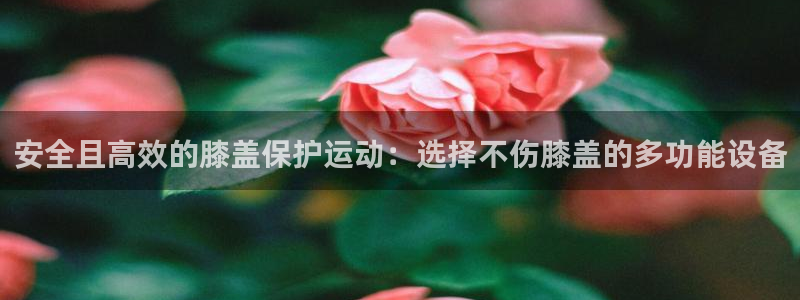 凯时官网手机版下载