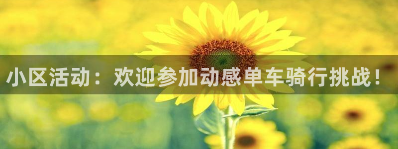 尊龙游戏官方网