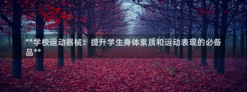 尊龙官网手机版下载：**学校运动器械：提升学生身体素质和运动