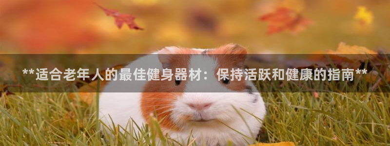 尊龙凯时 - 人生就是搏有假吗：**适合老年人的最佳