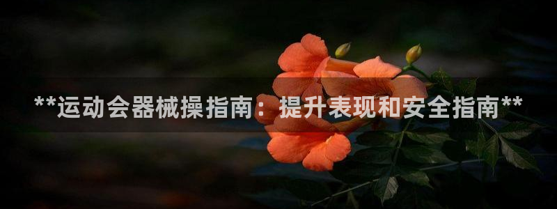 尊龙王t400：**运动会器械操指南：提升表现和安全