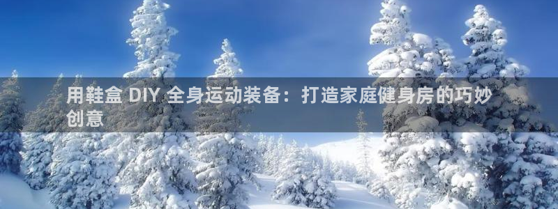 尊龙凯时提款冻卡吗：用鞋盒 DIY 全身运动装备：打