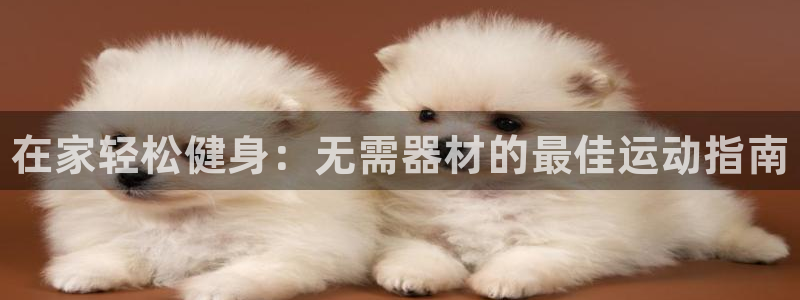 尊龙 6：在家轻松健身：无需器材的最佳运动指南