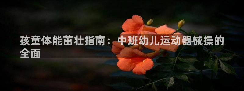 凯时app赢AG发财网来就送38：孩童体能茁壮指南：中班幼儿