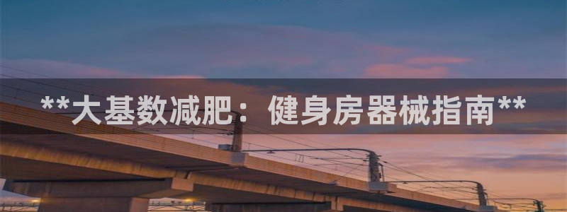 尊龙ktv怎么样：**大基数减肥：健身房器械指南**