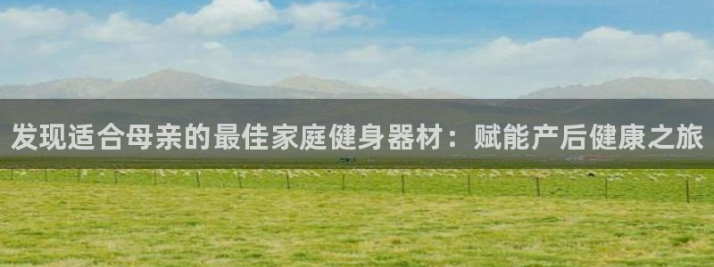 凯时尊龙app国际官方网站：发现适合母亲的最佳家庭健