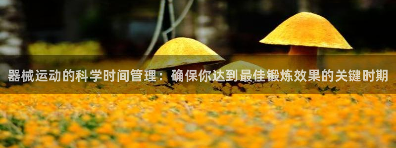 尊龙怎么没消息了：器械运动的科学时间管理：确保你达到