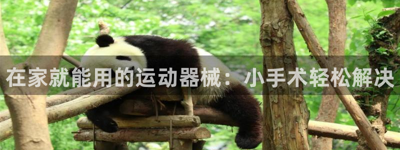 凯时AG网：在家就能用的运动器械：小手术轻松解决