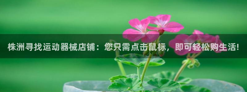 尊龙体育电竞官网