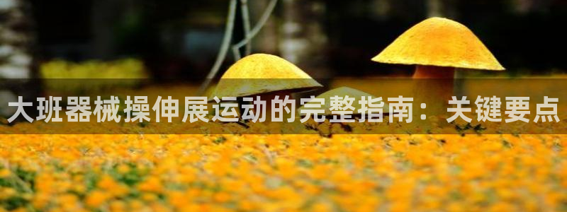 尊龙凯时用户名m：大班器械操伸展运动的完整指南：关键