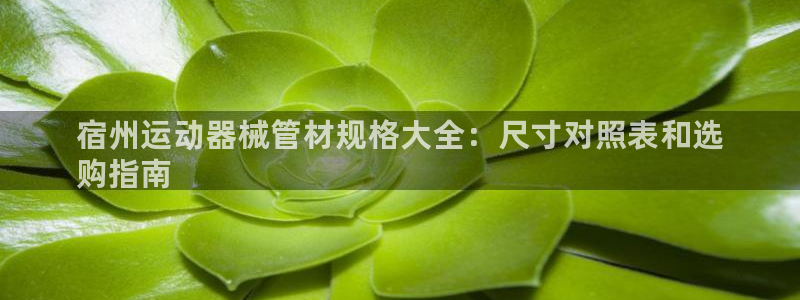 尊龙d88用现推选ag发财网：宿州运动器械管材规格大