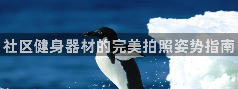 尊龙 10：社区健身器材的完美拍照姿势指南