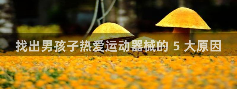 尊龙凯时人生就是搏!官网：找出男孩子热爱运动器械的 5 大原