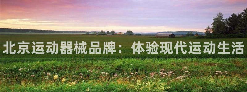 尊龙凯时几百万怎么下款