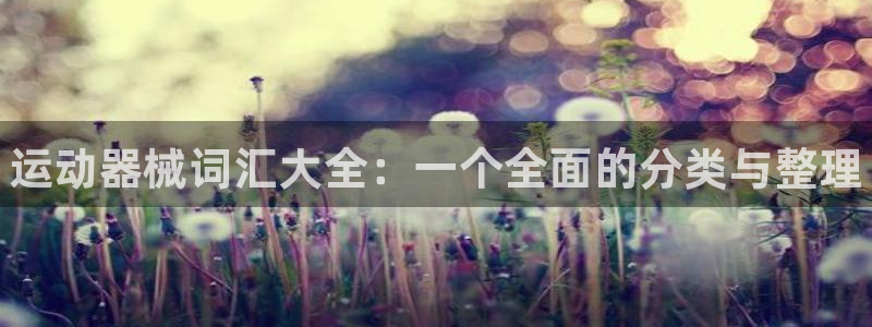 尊龙网址是多少：运动器械词汇大全：一个全面的分类与整